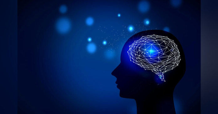 Real Words or Buzzwords?: Data Literacy