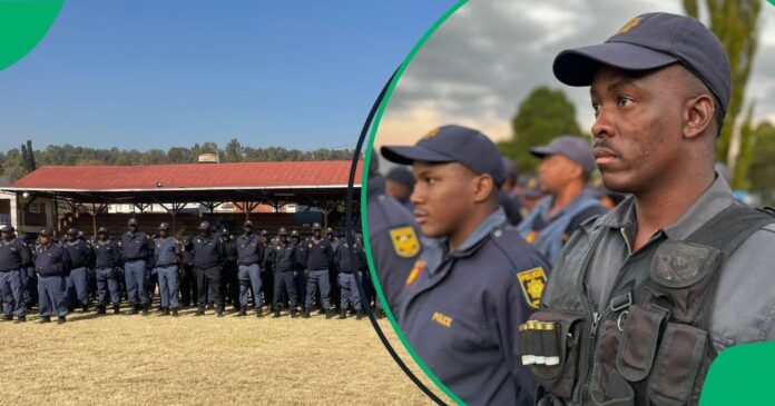 SAPS Deploys Additional Police Officers to KwaZulu-Natal Amid Security Concerns